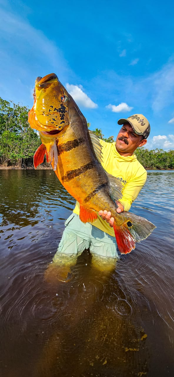 Foto 10 de Angatu Açu — Rio Ayuanã