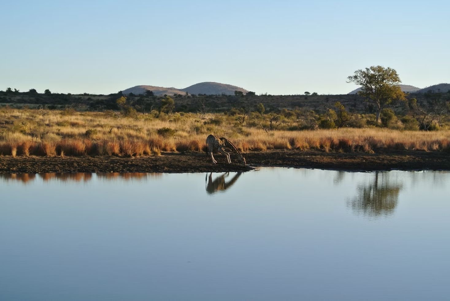 Foto 4 de África do Sul