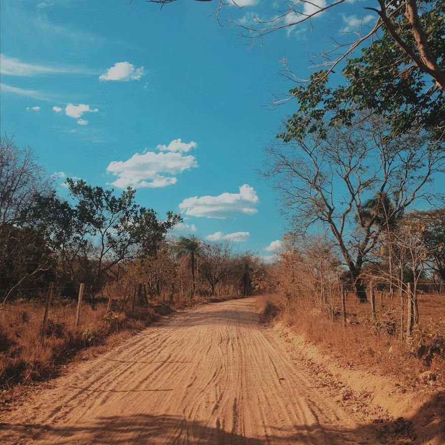 Foto 8 de África do Sul