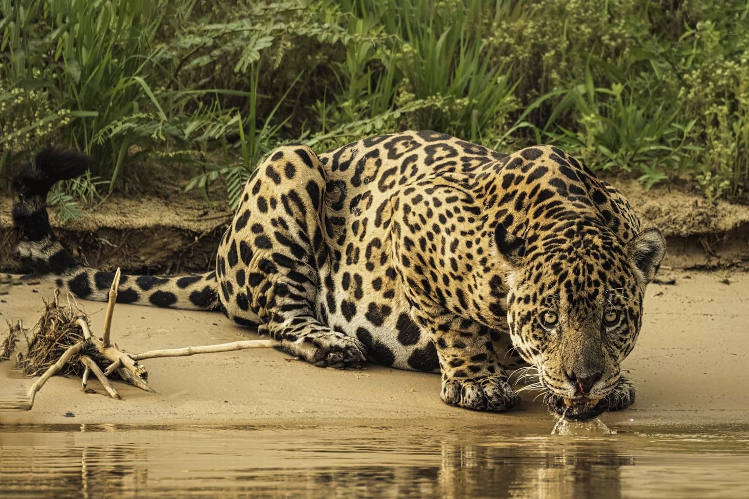 Foto 13 de Inspiração Terramundi 2026