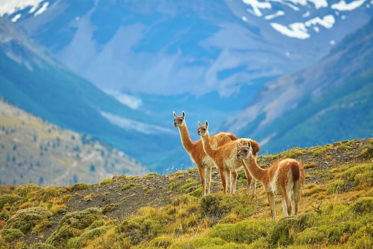 Foto 20 de Inspiração Terramundi 2026