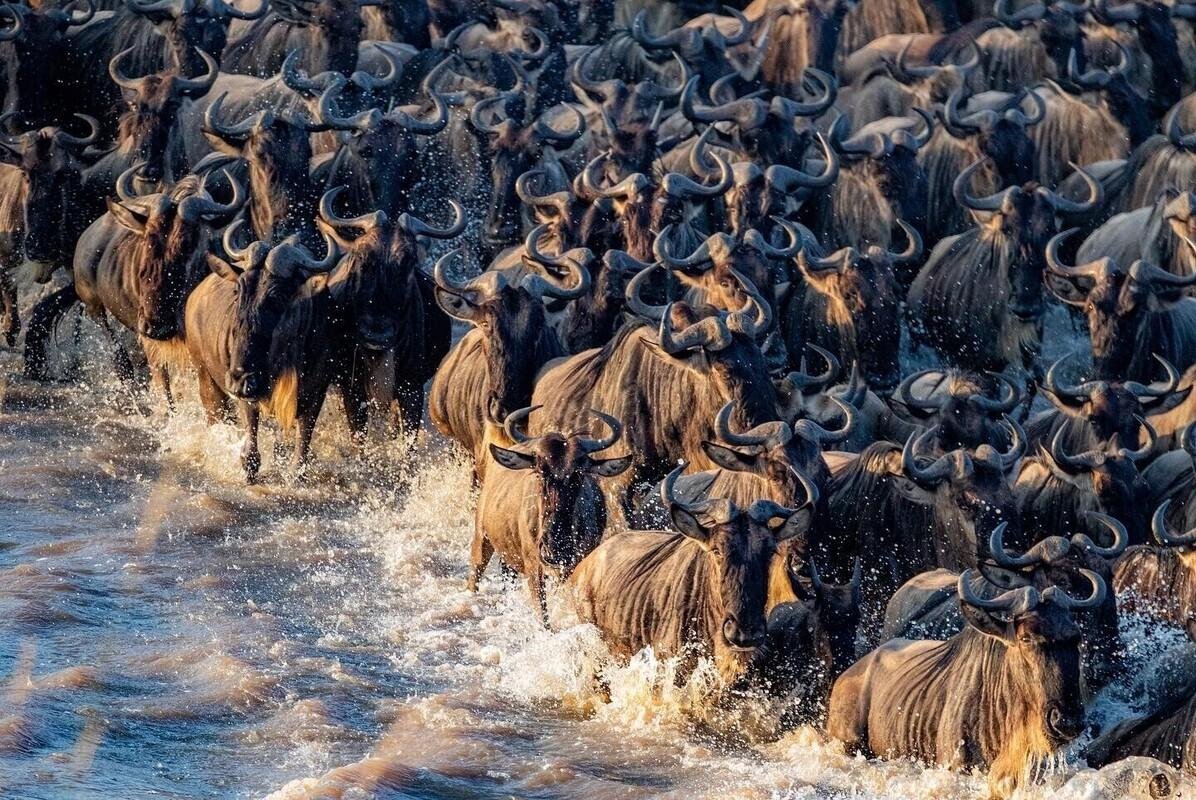 Foto 62 de Inspiração Terramundi 2026