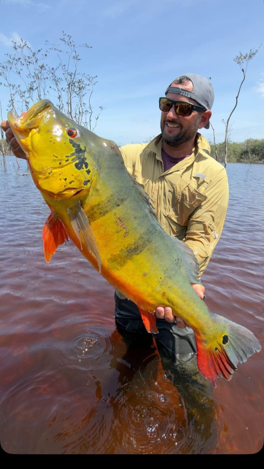 Foto 5 de Jufaris Jungle Fishing