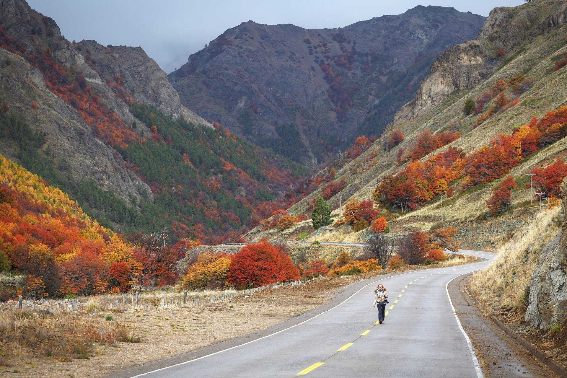 Foto 66 de Patagônia